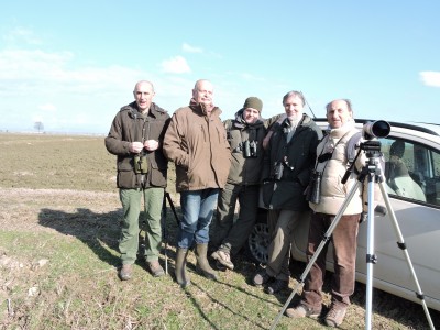 Birders   